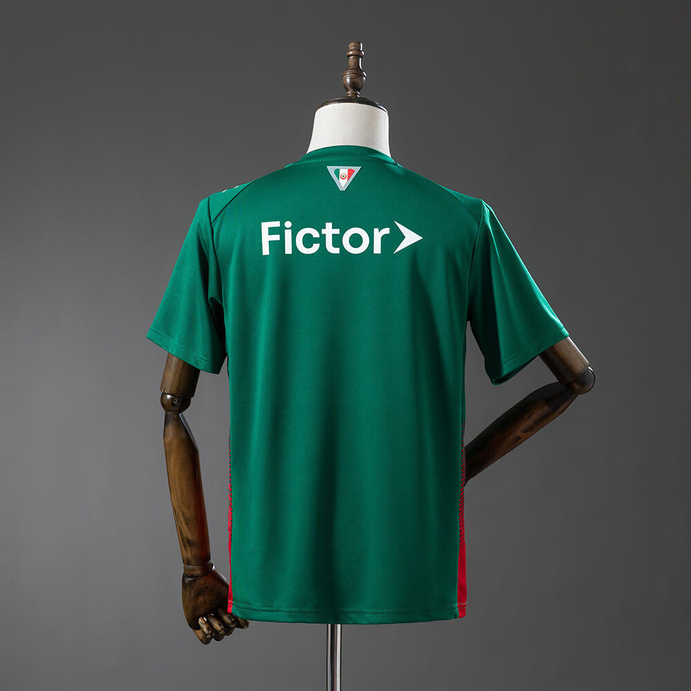 Palmeiras