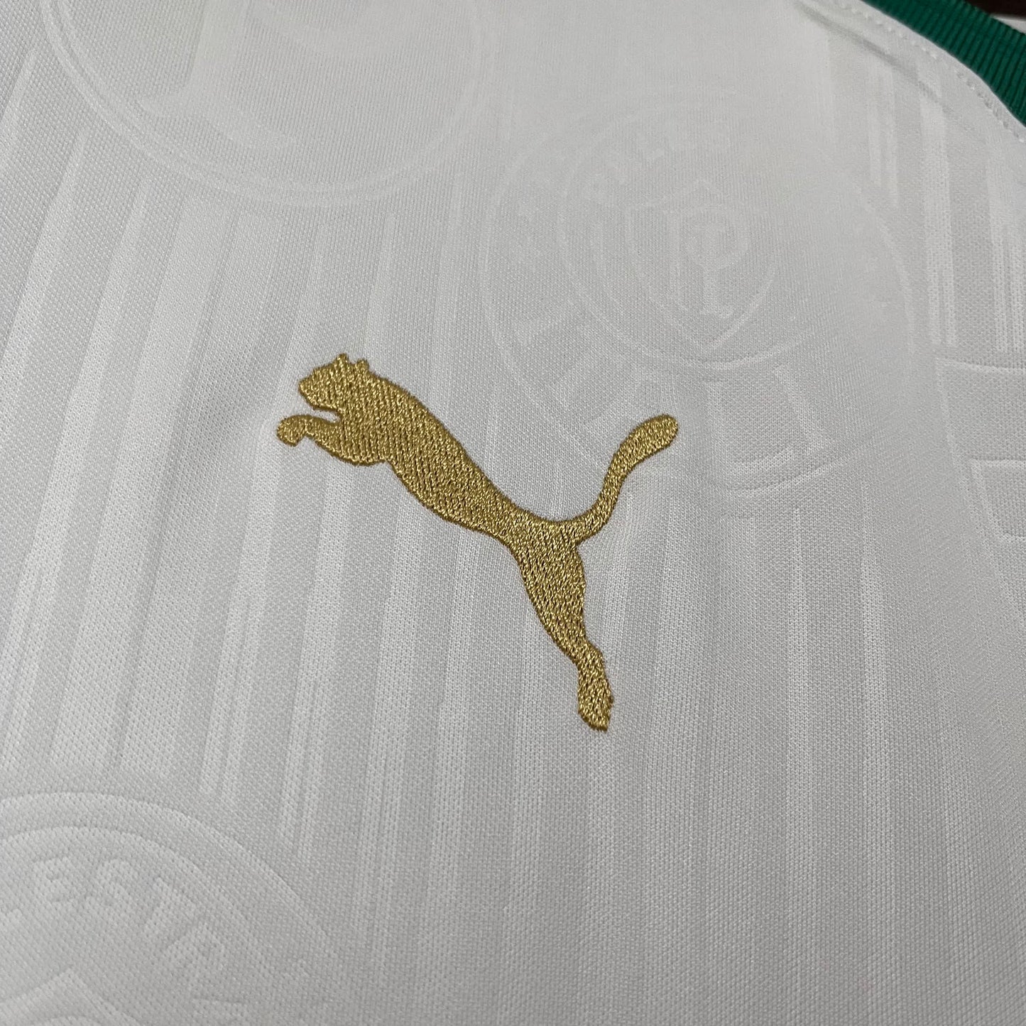 Palmeiras
