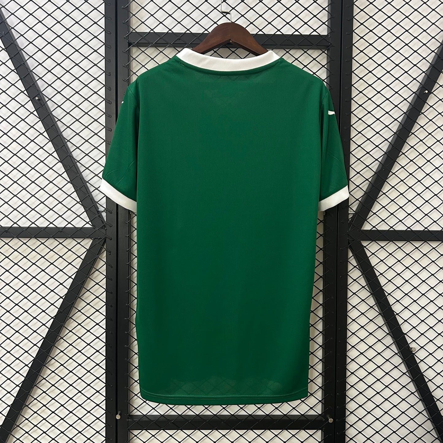 Palmeiras