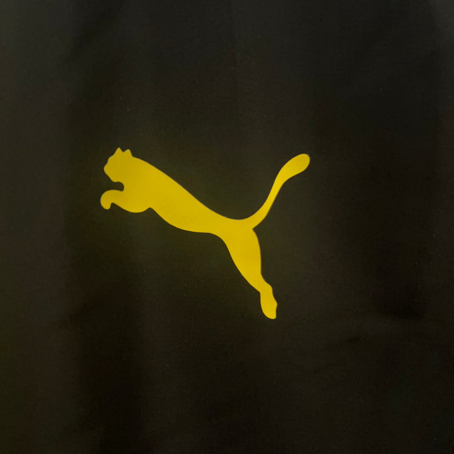 Corta vento - Borussia Dortmund