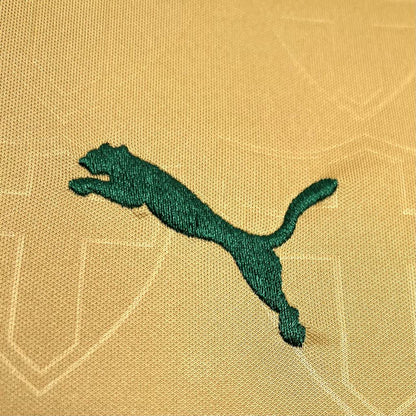 Palmeiras