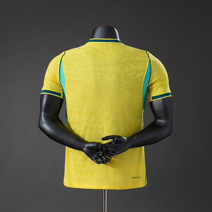 Brasil - Versão Jogador
