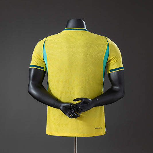 Brasil - Versão Jogador