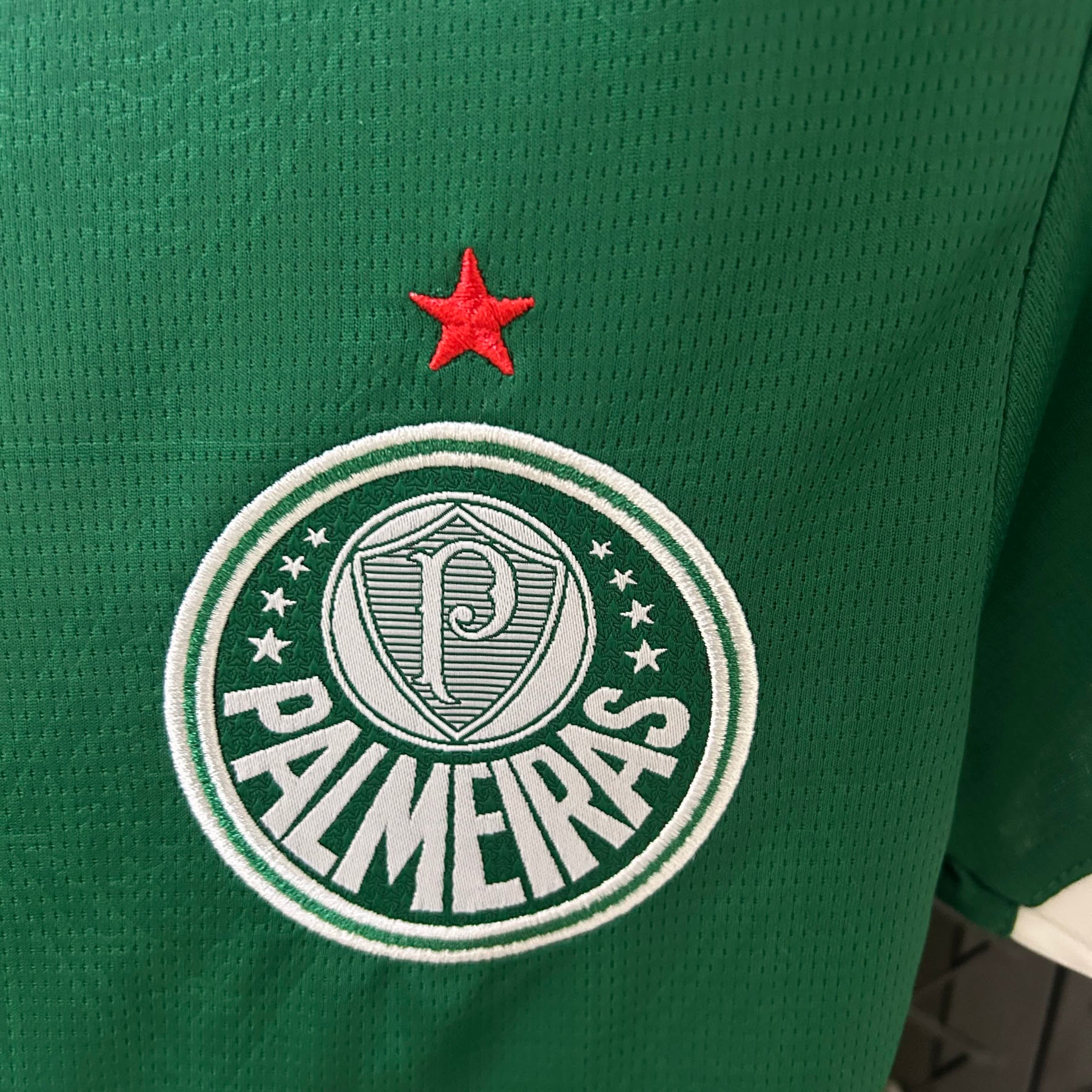 Palmeiras - Versão Feminina