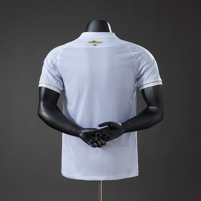 Santos - Versão Jogador