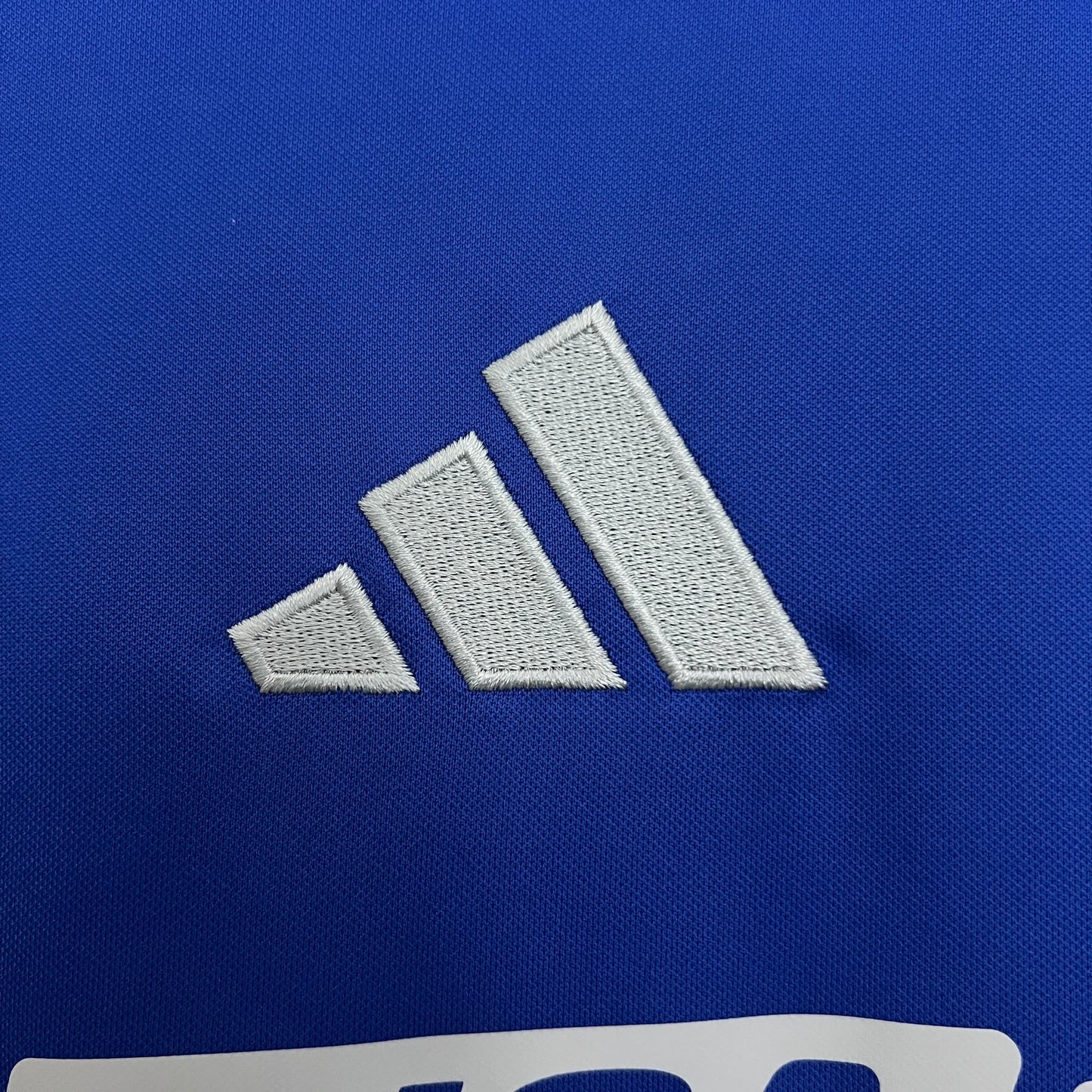 Universidad de Chile