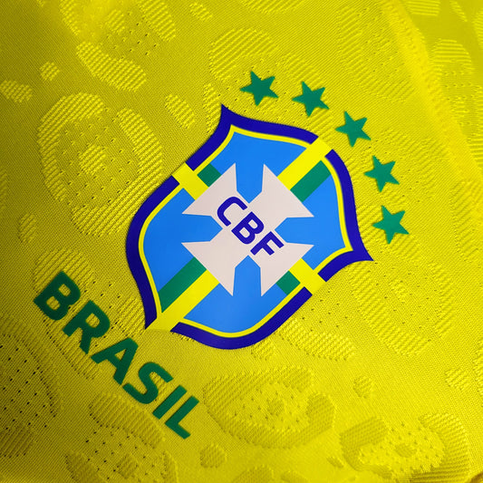 Brasil - Versão Jogador