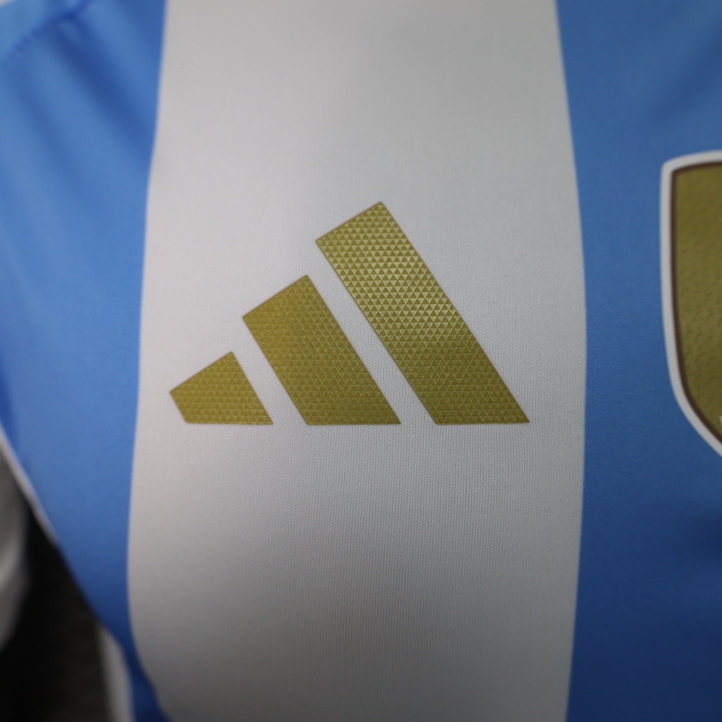 Argentina - Versão Jogador