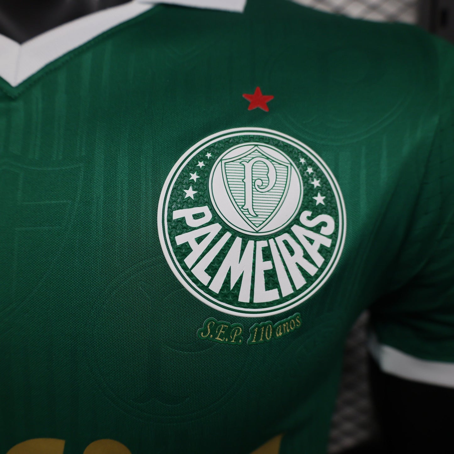 Palmeiras - Versão Jogador