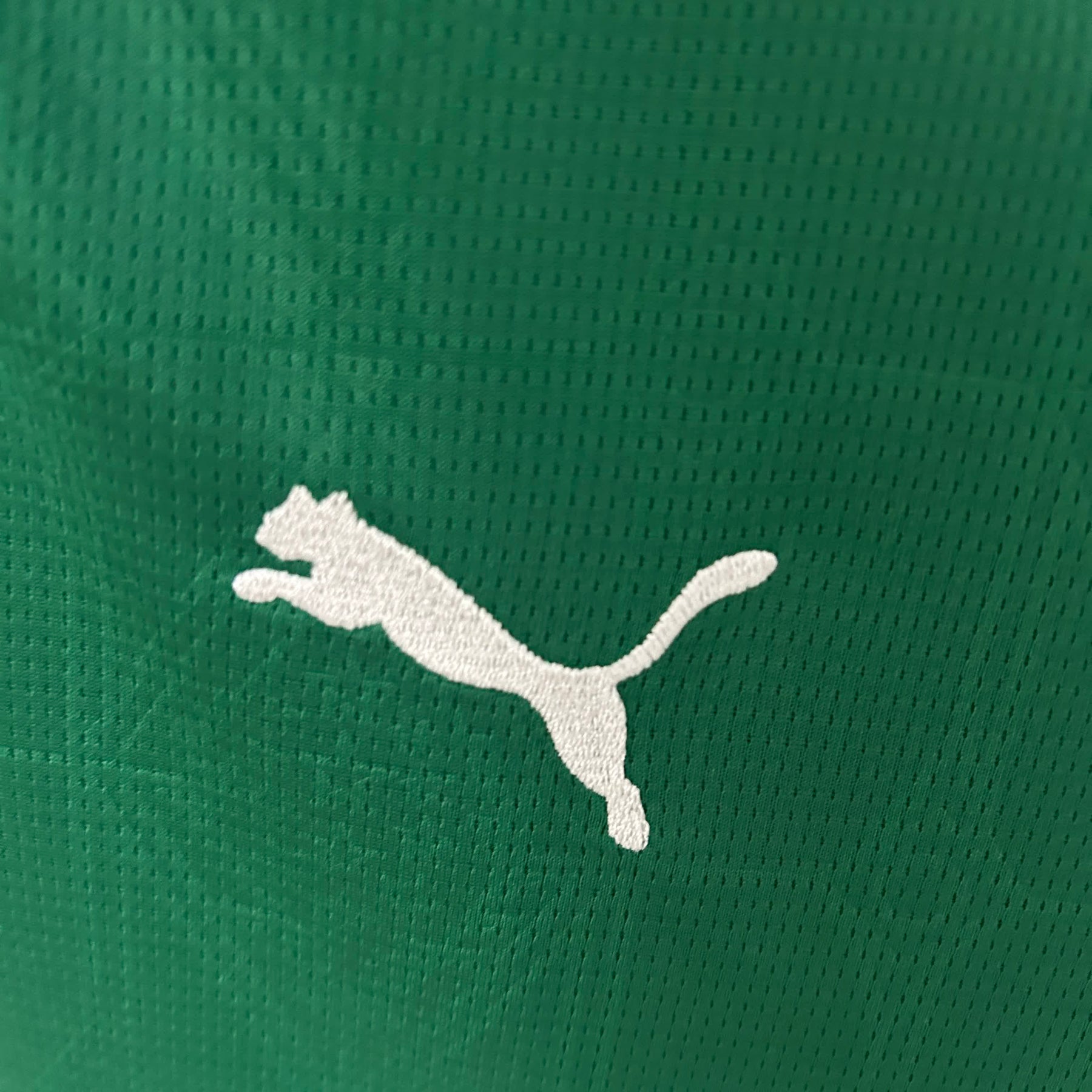 Palmeiras - Versão Feminina