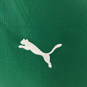 Palmeiras - Versão Feminina