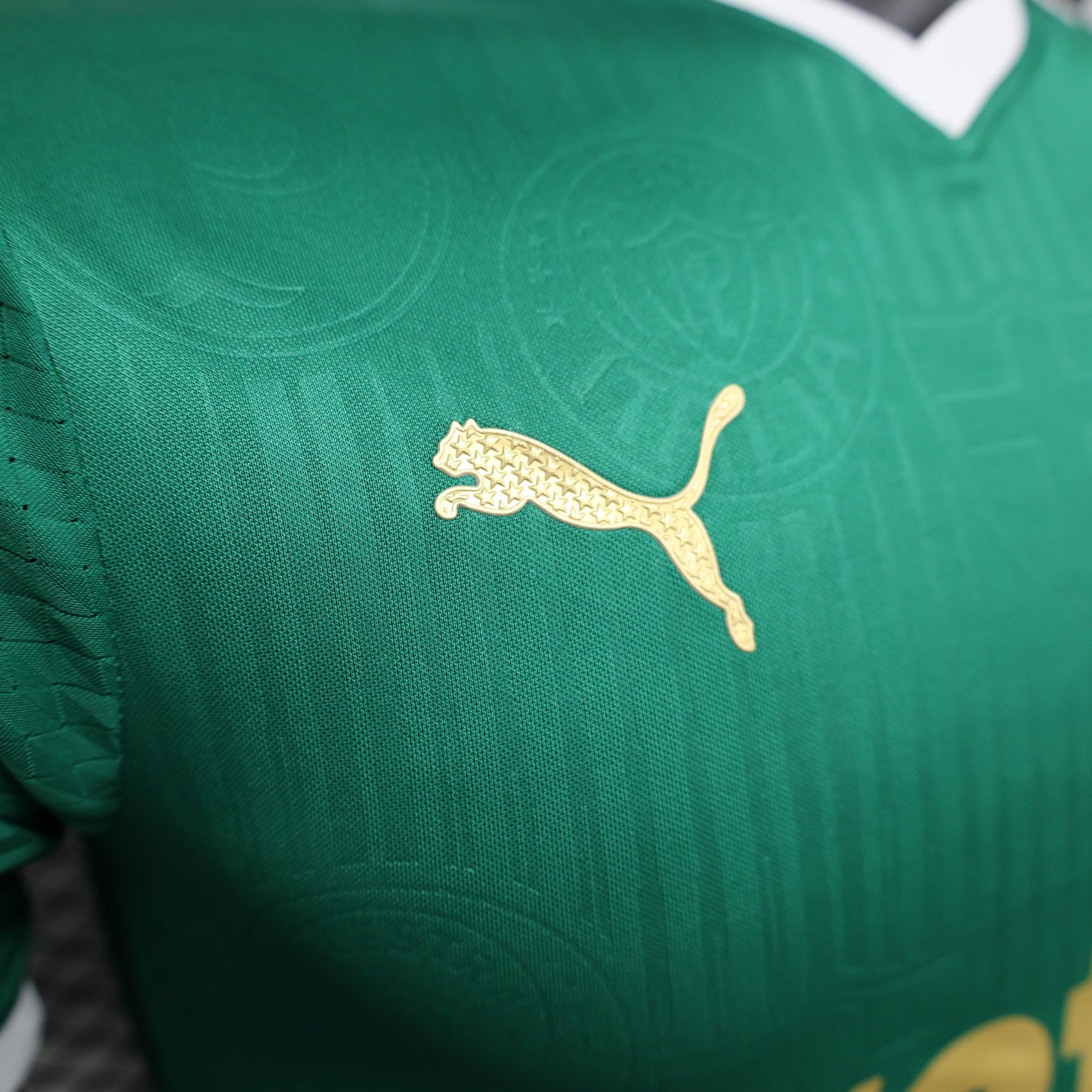 Palmeiras - Versão Jogador
