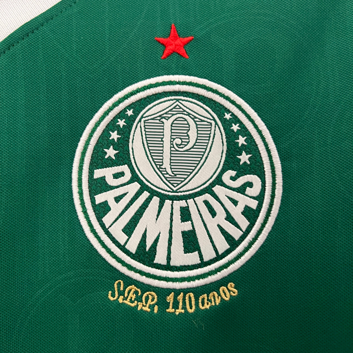 Palmeiras - Versão Feminina