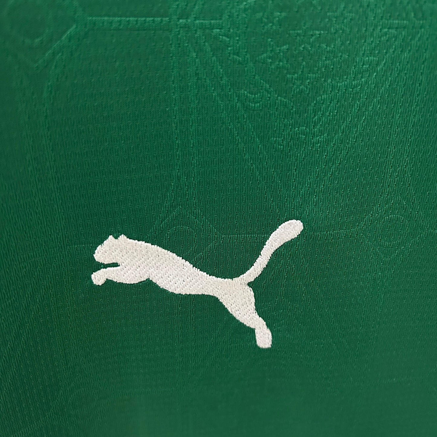 Palmeiras