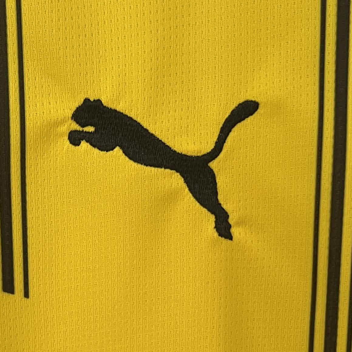 Borussia Dortmund