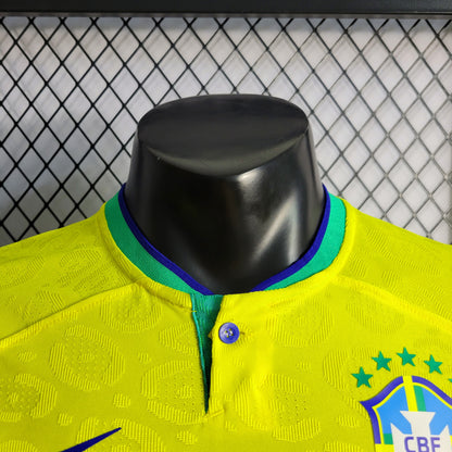 Brasil - Versão Jogador