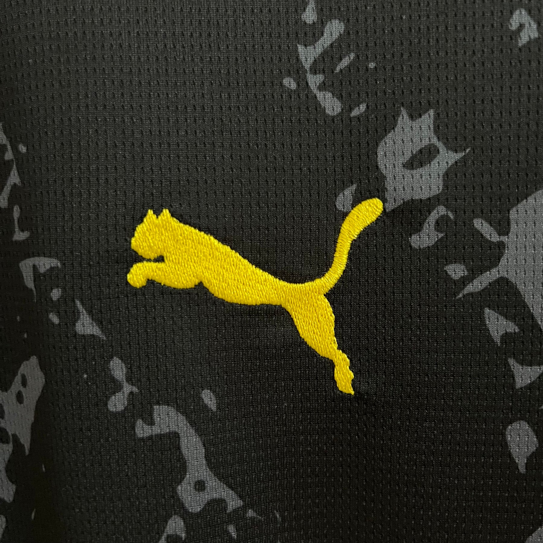 Borussia Dortmund