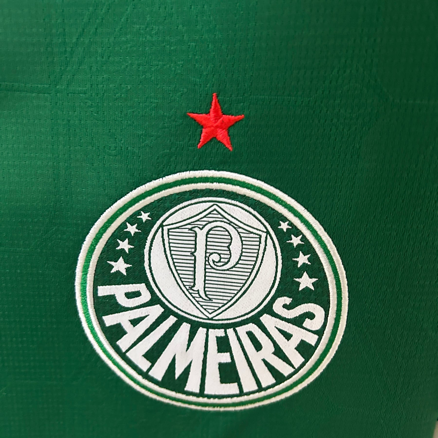 Palmeiras
