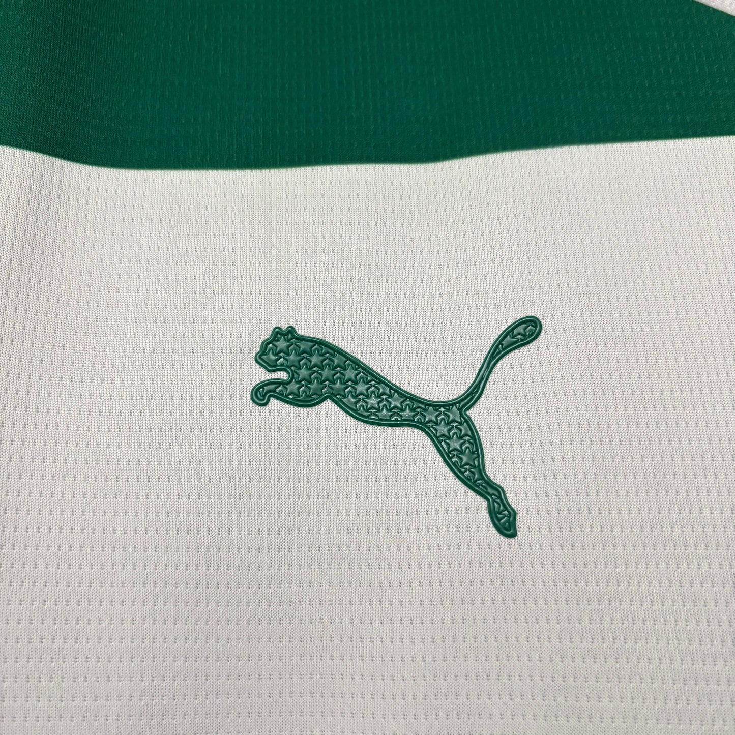 Palmeiras