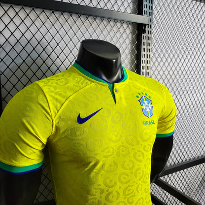 Brasil - Versão Jogador